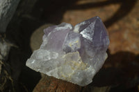 Natural Jacaranda Amethyst Clusters  x 3 From Mumbwa, Zambia - Toprock Gemstones and Minerals 