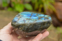 Polished Labradorite Standing Free Forms With Intense Blue & Gold Flash x 3 From Tulear, Madagascar - TopRock