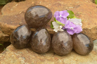 Polished Large Morion Smokey Quartz Eggs x 5 From Madagascar - TopRock