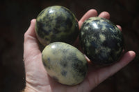 Polished Leopard Stone Eggs & Spheres  x 4 From Zimbabwe - TopRock