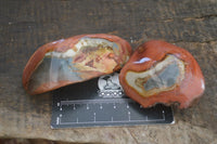 Polished One Side Polished Polychrome Jasper Nodules  x 12 From Madagascar - Toprock Gemstones and Minerals 