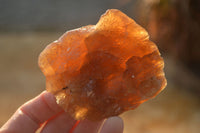 Natural Honey Aragonite Etched & Cobbed Pieces  x 6 From Namibia