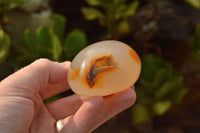 Polished Small  Banded & Dendritic Agate Standing Free Forms  x 12 From Moralambo, Madagascar - TopRock