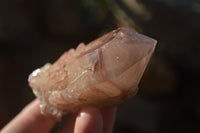 Natural Red Hematoid Quartz Specimens x 12 From Karoi, Zimbabwe