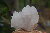 Natural White Spirit Cactus Quartz Clusters  x 6 From Boekenhouthoek, South Africa - Toprock Gemstones and Minerals 