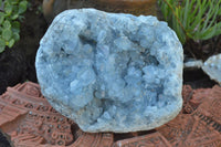 Natural Blue Celestite Cluster With Large Cubic Crystals x 1 From Sakoany, Madagascar - TopRock