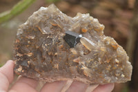 Natural Schorl Black Tourmaline & Smokey Quartz Specimens x 2 From Erongo Mountains, Namibia - TopRock