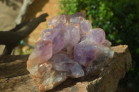 Natural Jacaranda Amethyst Cluster x 1 From Mumbwa, Zambia - TopRock