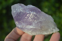 Natural Jacaranda Amethyst Single Crystal Specimens x 12 From Mumbwe, Zambia