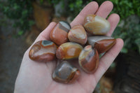 Polished Small Polychrome Jasper (Picasso Jasper) Free Forms  - Sold per 1 kg - From Madagascar - Toprock Gemstones and Minerals 