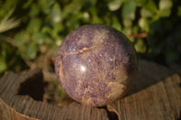 Polished Purple Lepidolite Spheres  x 6 From Madagascar