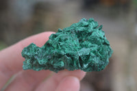 Natural Chatoyant Silky Malachite Specimens  x 12 From Kasompe, Congo - Toprock Gemstones and Minerals 