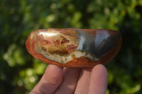 Polished One Side Polished Polychrome Jasper Nodules  x 12 From Madagascar - Toprock Gemstones and Minerals 