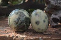 Polished Leopard Stone Eggs & Spheres  x 4 From Zimbabwe - TopRock