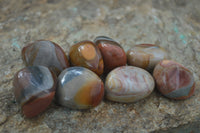 Polished Small Polychrome Jasper (Picasso Jasper) Free Forms  - Sold per 1 kg - From Madagascar - Toprock Gemstones and Minerals 