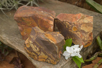 Natural Rough Nguni Jasper Cobbed Specimens  x 3 From Northern Cape, South Africa - TopRock