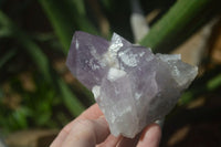 Natural Jacaranda Amethyst Clusters  x 3 From Mumbwa, Zambia - Toprock Gemstones and Minerals 