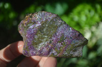 Natural Purple Stichtite Cobbed Specimens  x 12 From Barberton, South Africa - Toprock Gemstones and Minerals 