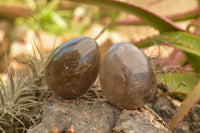 Polished Large Morion Smokey Quartz Eggs x 5 From Madagascar - TopRock