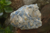 Natural Blue Kyanite In Matrix Specimens  x 3 From Karoi, Zimbabwe - TopRock