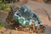 Natural Drusy Coated Ball Malachite On Dolomite Specimens  x 2 From Likasi, Congo