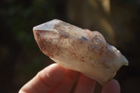 Natural Red Hematoid Quartz Specimens x 12 From Karoi, Zimbabwe