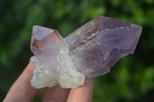 Natural Jacaranda Amethyst Single Crystal Specimens x 12 From Mumbwe, Zambia