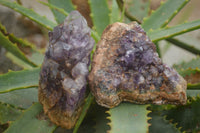 Natural Amethyst & Crystal Centred Geodes  x 12 From Zululand, South Africa - TopRock