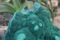 Natural Extra Large Crystalline Botryoidal Malachite Specimen  x 1 From Kasompe, Congo - Toprock Gemstones and Minerals 