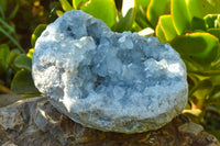 Natural Blue Celestite Cluster With Large Cubic Crystals x 1 From Sakoany, Madagascar - TopRock