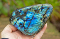 Polished Labradorite Standing Free Forms With Intense Blue & Gold Flash x 3 From Tulear, Madagascar - TopRock