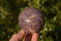 Polished Purple Lepidolite Spheres  x 6 From Madagascar