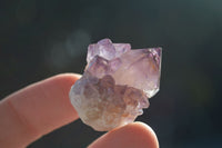 Natural Spirit Amethyst Quartz Crystal Specimens  x 35 From Boekenhouthoek, South Africa - Toprock Gemstones and Minerals 