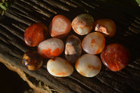 Polished Carnelian Agate Palm Stones  x 14 From Madagascar