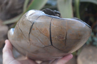 Polished Septerye Sauvage Dragons Egg Standing Free Form x 1 From Mahajanga, Madagascar