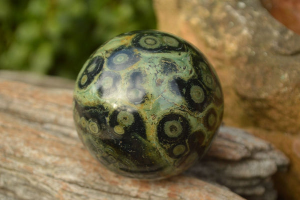 Polished Stromatolite / Kambaba Jasper Spheres x 3 From Madagascar - TopRock