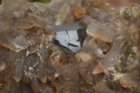 Natural Schorl Black Tourmaline & Smokey Quartz Specimens x 2 From Erongo Mountains, Namibia - TopRock