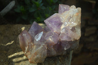 Natural Jacaranda Amethyst Cluster x 1 From Mumbwa, Zambia - TopRock