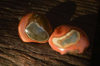 Polished One Side Polished Polychrome Jasper Nodules  x 12 From Madagascar - Toprock Gemstones and Minerals 