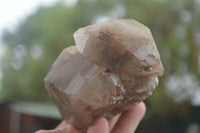 Natural Smokey Quartz Crystal Specimens  x 2 From Erongo Mountains, Namibia - TopRock