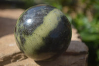 Polished Leopard Stone Eggs & Spheres  x 4 From Zimbabwe - TopRock