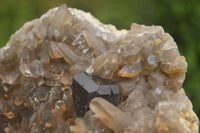 Natural Schorl Black Tourmaline & Smokey Quartz Specimens x 2 From Erongo Mountains, Namibia - TopRock