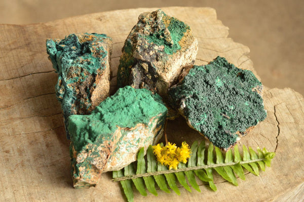 Natural Micro Botryoidal Malachite Specimens  x 4 From Tenke Fungurume, Congo - TopRock