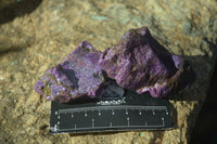 Natural Purple Stichtite Cobbed Specimens  x 12 From Barberton, South Africa - Toprock Gemstones and Minerals 