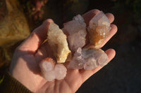 Natural Small Mixed Spirit Quartz Crystals & Clusters  x 35 From Boekenhouthoek, South Africa - Toprock Gemstones and Minerals 