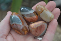 Polished Small Polychrome Jasper (Picasso Jasper) Free Forms  - Sold per 1 kg - From Madagascar - Toprock Gemstones and Minerals 