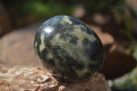 Polished Leopard Stone Eggs & Spheres  x 4 From Zimbabwe - TopRock