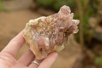 Natural Red Hematoid Quartz Clusters  x 6 From Karoi, Zimbabwe - TopRock