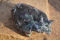 Natural Drusy Coated Ball Malachite On Dolomite Specimens  x 2 From Likasi, Congo