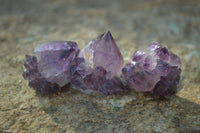 Natural Spirit Amethyst Quartz Crystal Specimens  x 35 From Boekenhouthoek, South Africa - Toprock Gemstones and Minerals 